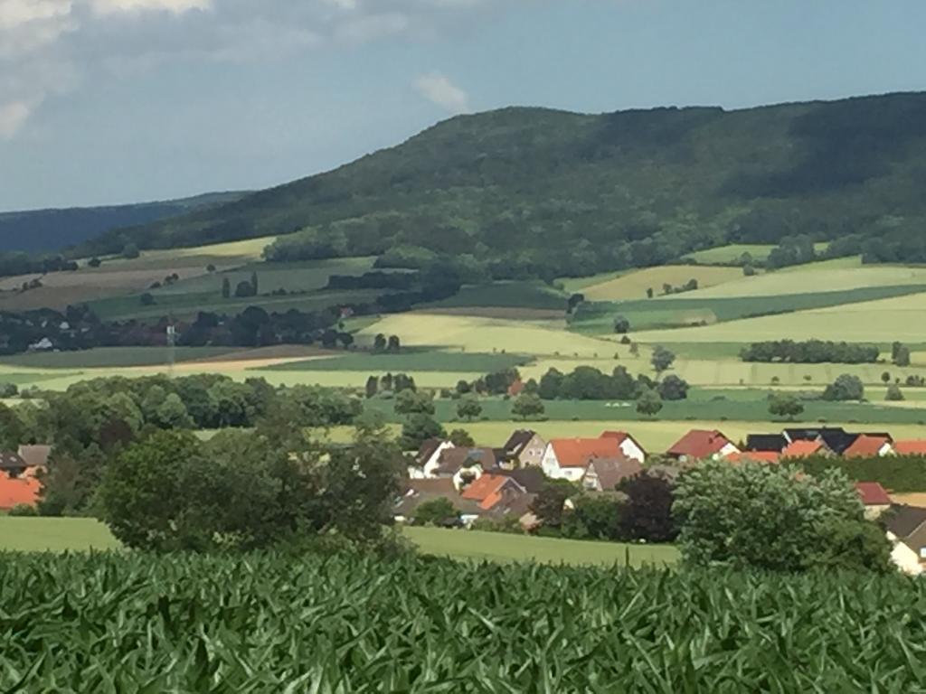 Gaestehaus White Horse Diedersen Coppenbrügge Buitenkant foto